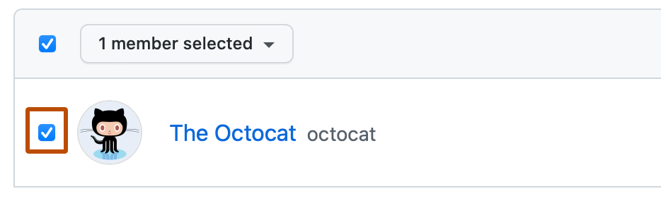 团队成员列表中第一个用户的屏幕截图。 该用户左侧的复选框被选中,并用深橙色标出。