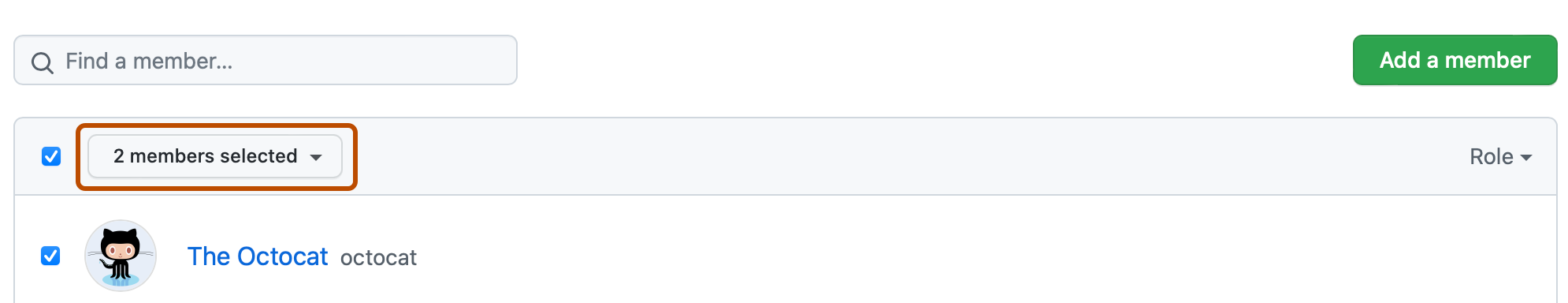 团队“成员”页的屏幕截图。 团队成员列表上方有一个下拉菜单,标有“已选择 2 个成员...”并用深橙色标出。