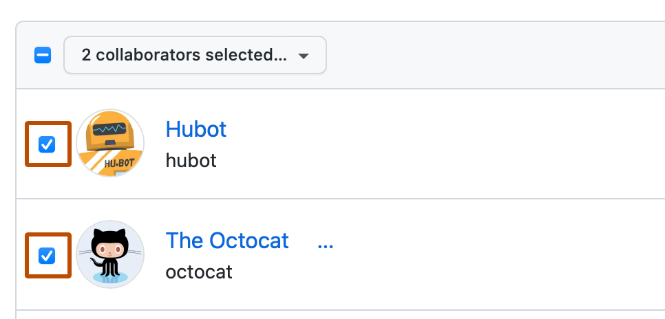 外部协作者列表中前两个用户的屏幕截图。 每个用户左侧的复选框被选中,并用深橙色框出。